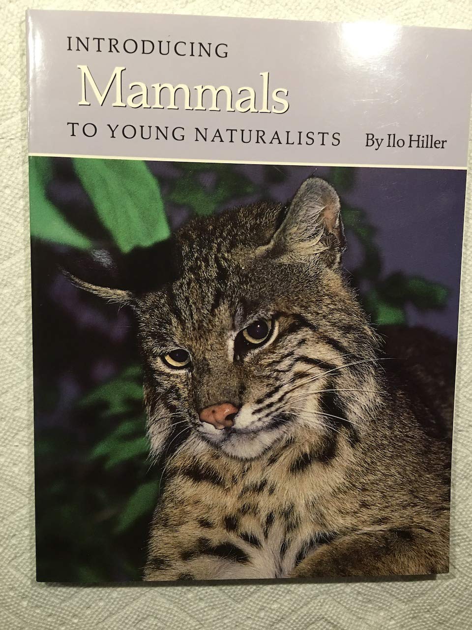 Introducing Mammals to Young Naturalists: From Texas Parks and Wildlife Magazine (Louise Lindsey Merrick Texas Environment Serie,Used