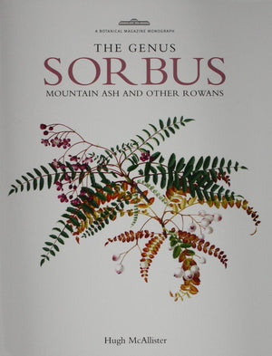 Genus Sorbus: mountain ash and other rowans,Used
