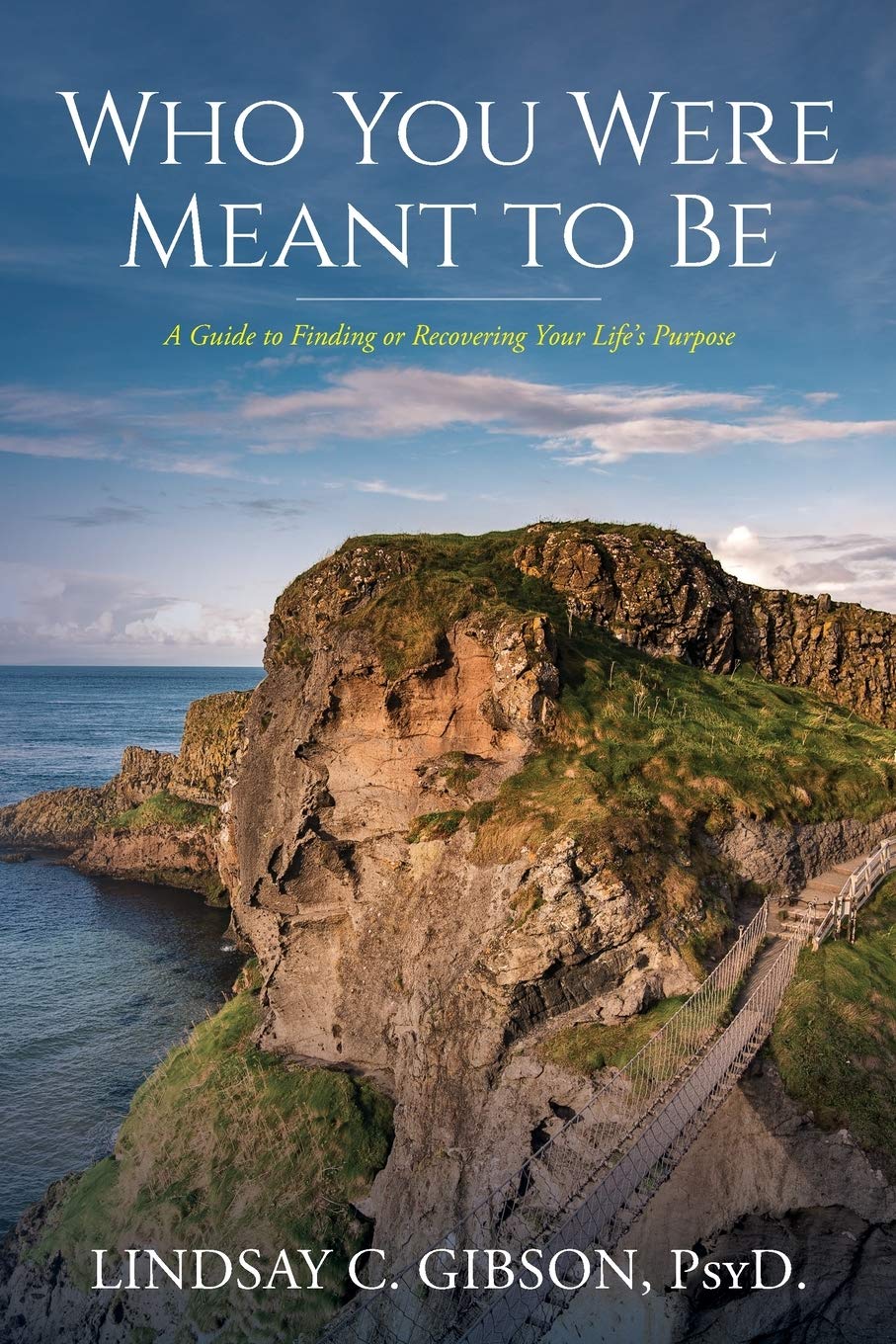 Who You Were Meant to Be: A Guide to Rediscovering Your Life's Purpose,Used