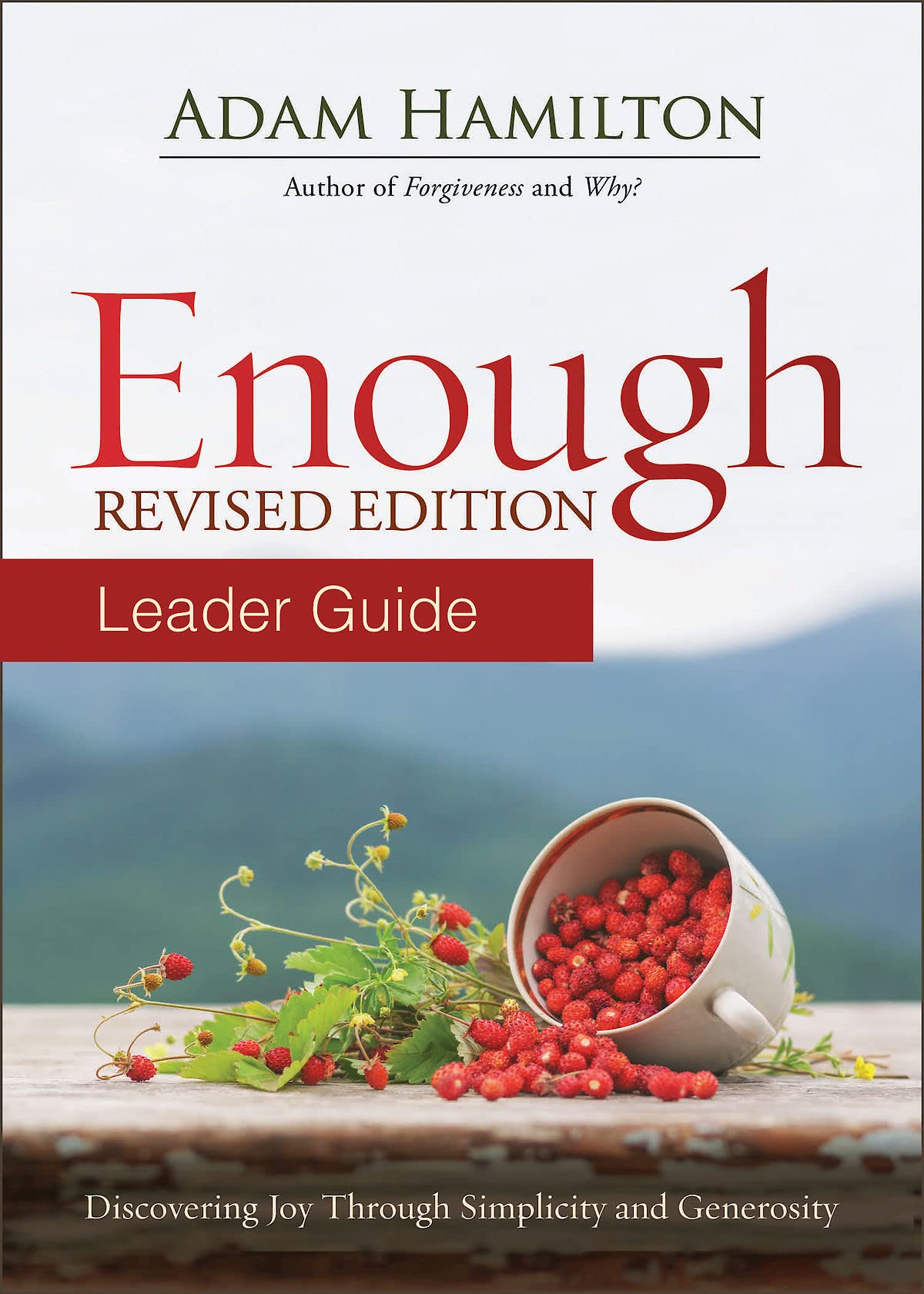 Enough Leader Guide Revised Edition: Discovering Joy through Simplicity and Generosity,Used