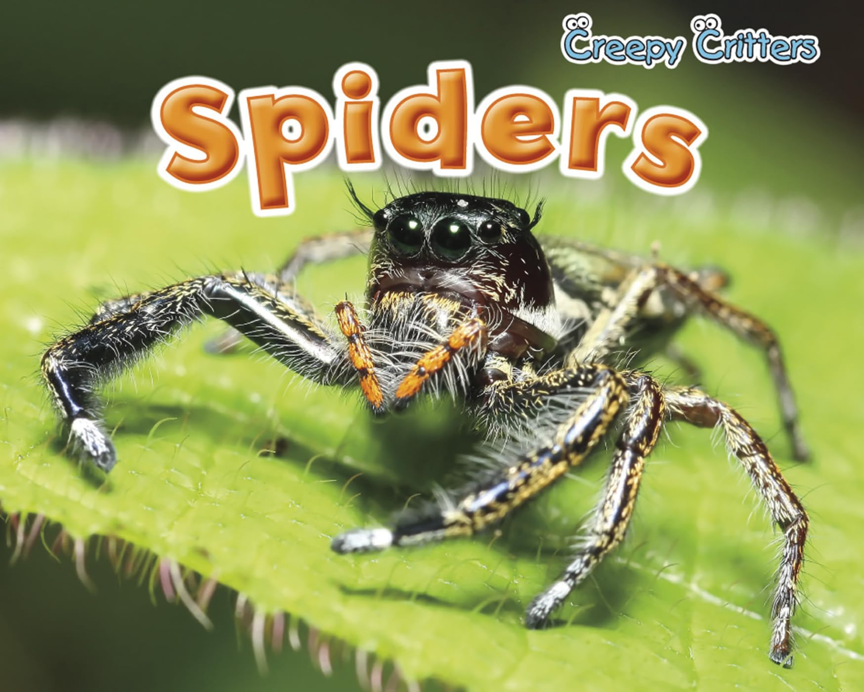 Spiders (Creepy Critters),Used