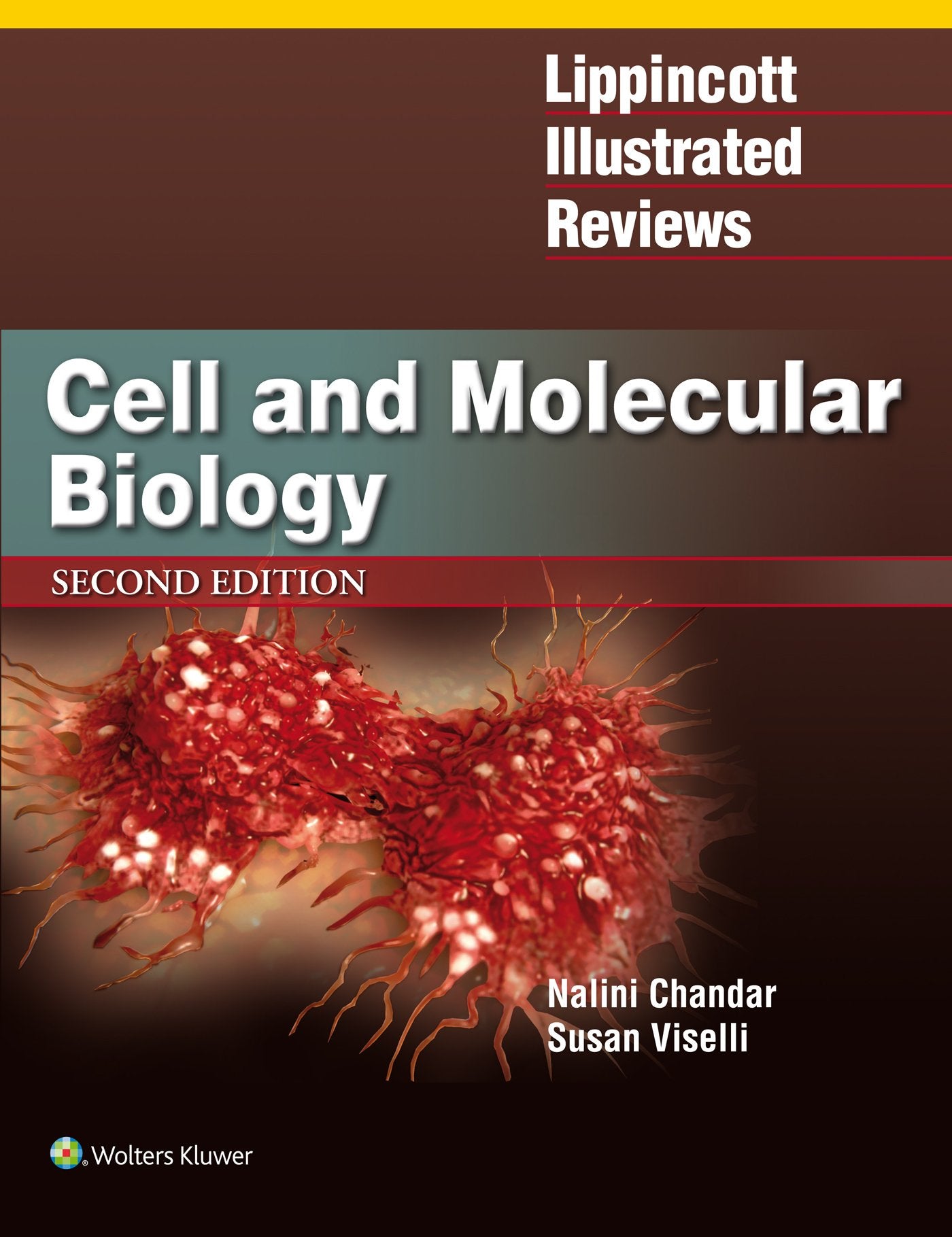 Lippincott Illustrated Reviews: Cell and Molecular Biology (Lippincott Illustrated Reviews Series),New