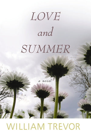Love and Summer (Center Point Platinum Reader's Circle (Large Print)),Used