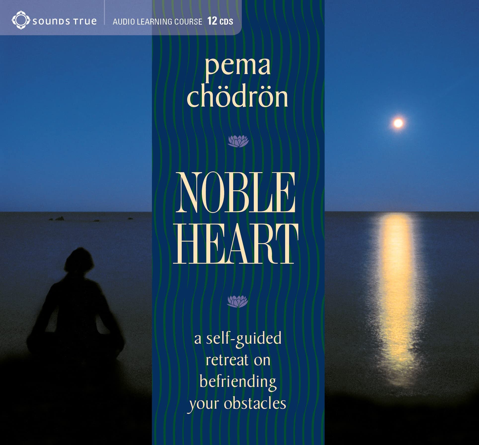 Noble Heart: A SelfGuided Retreat on Befriending Your Obstacles
