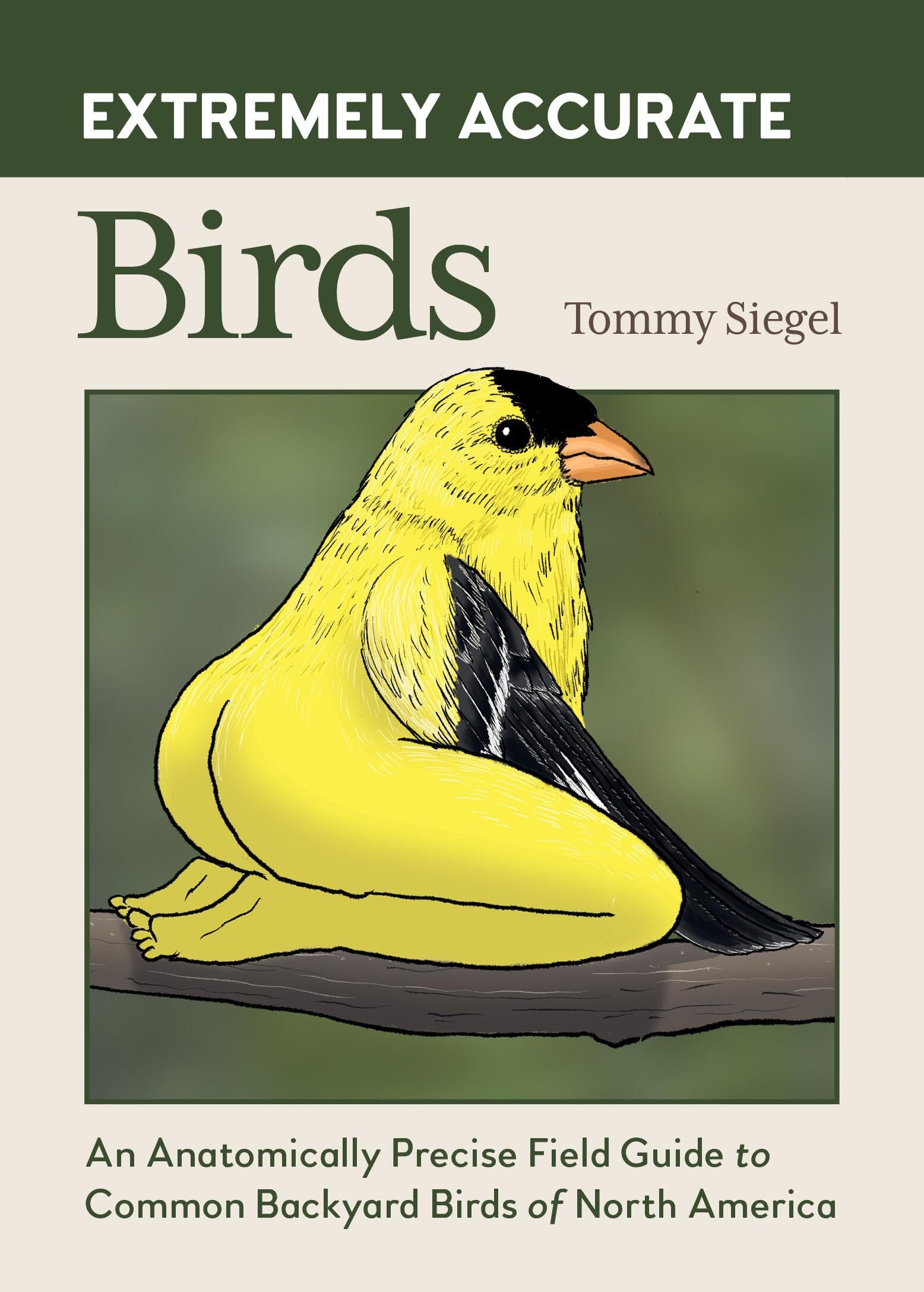 Extremely Accurate Birds: An Anatomically Precise Field Guide To Common Backyard Birds Of North America
