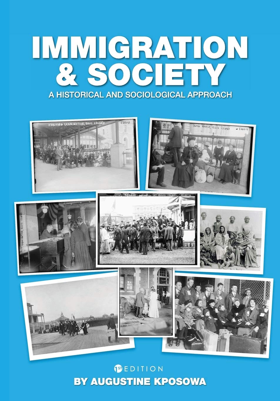 Immigration and Society: A Historical and Sociological Approach,Used