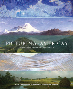 Picturing the Americas: Landscape Painting from Tierra del Fuego to the Arctic,Used