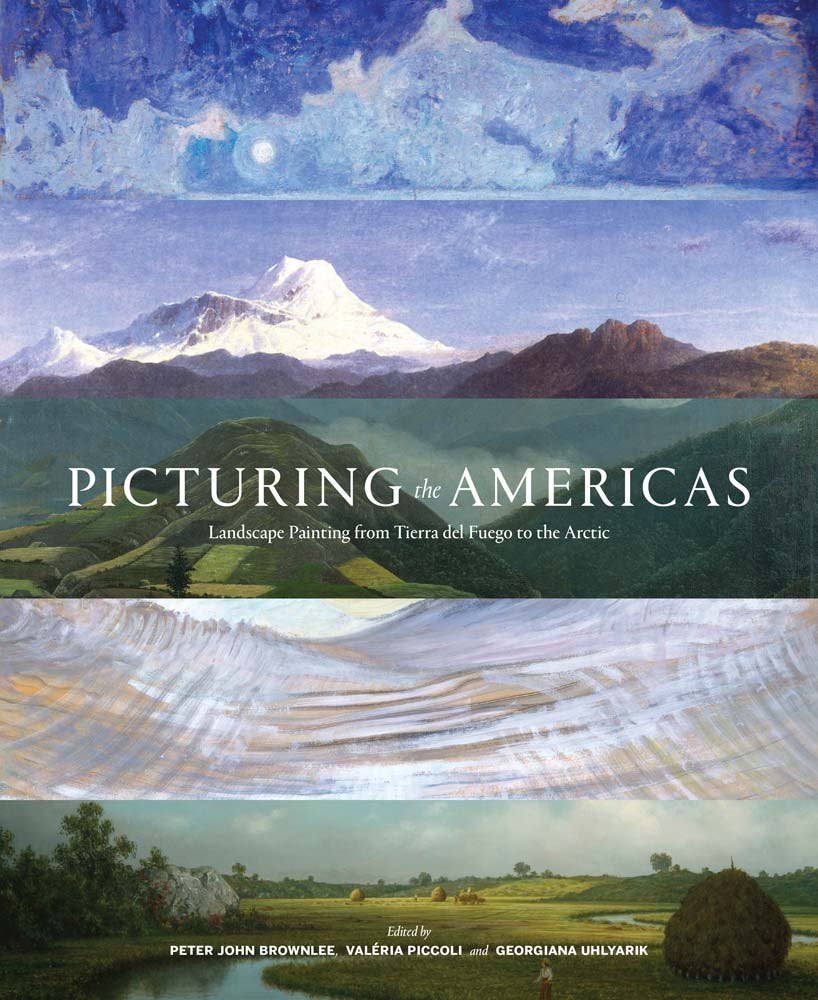 Picturing the Americas: Landscape Painting from Tierra del Fuego to the Arctic,Used