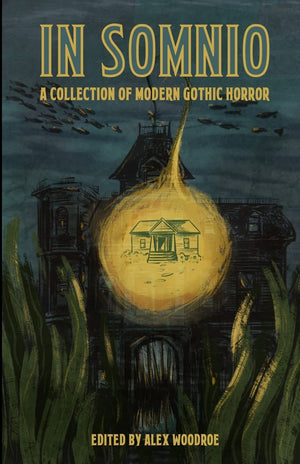 In Somnio: A Collection of Modern Gothic Horror,Used
