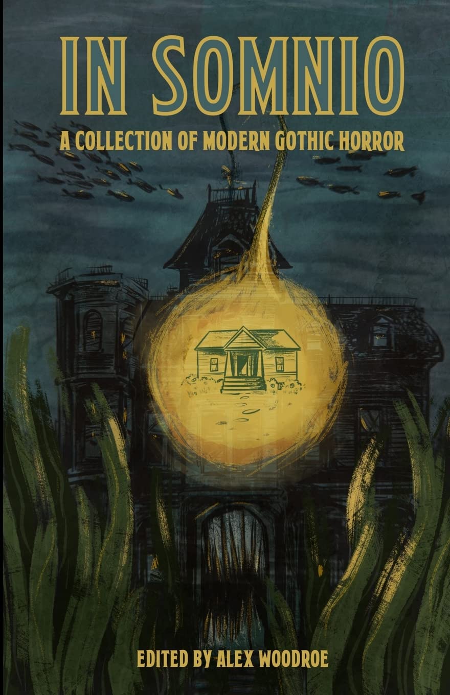 In Somnio: A Collection of Modern Gothic Horror,Used