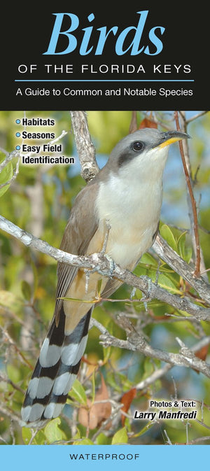 Birds of the Florida Keys: A Guide to Common & Notable Species (Quick Reference Guides),New