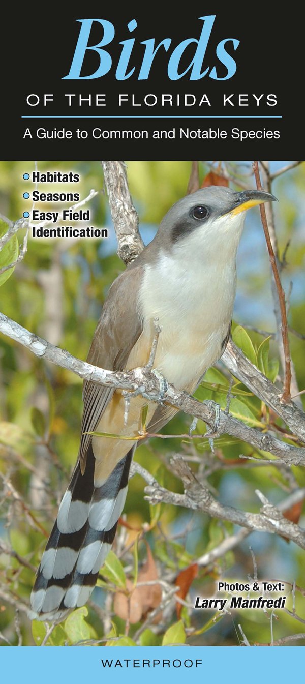 Birds of the Florida Keys: A Guide to Common & Notable Species (Quick Reference Guides),New