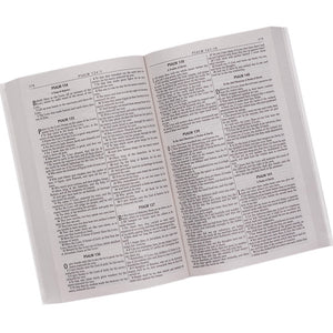 KJV Holy Bible, Outreach Bible  Softcover, King James Version, Silver Damask (KJV Outreach Editions),New