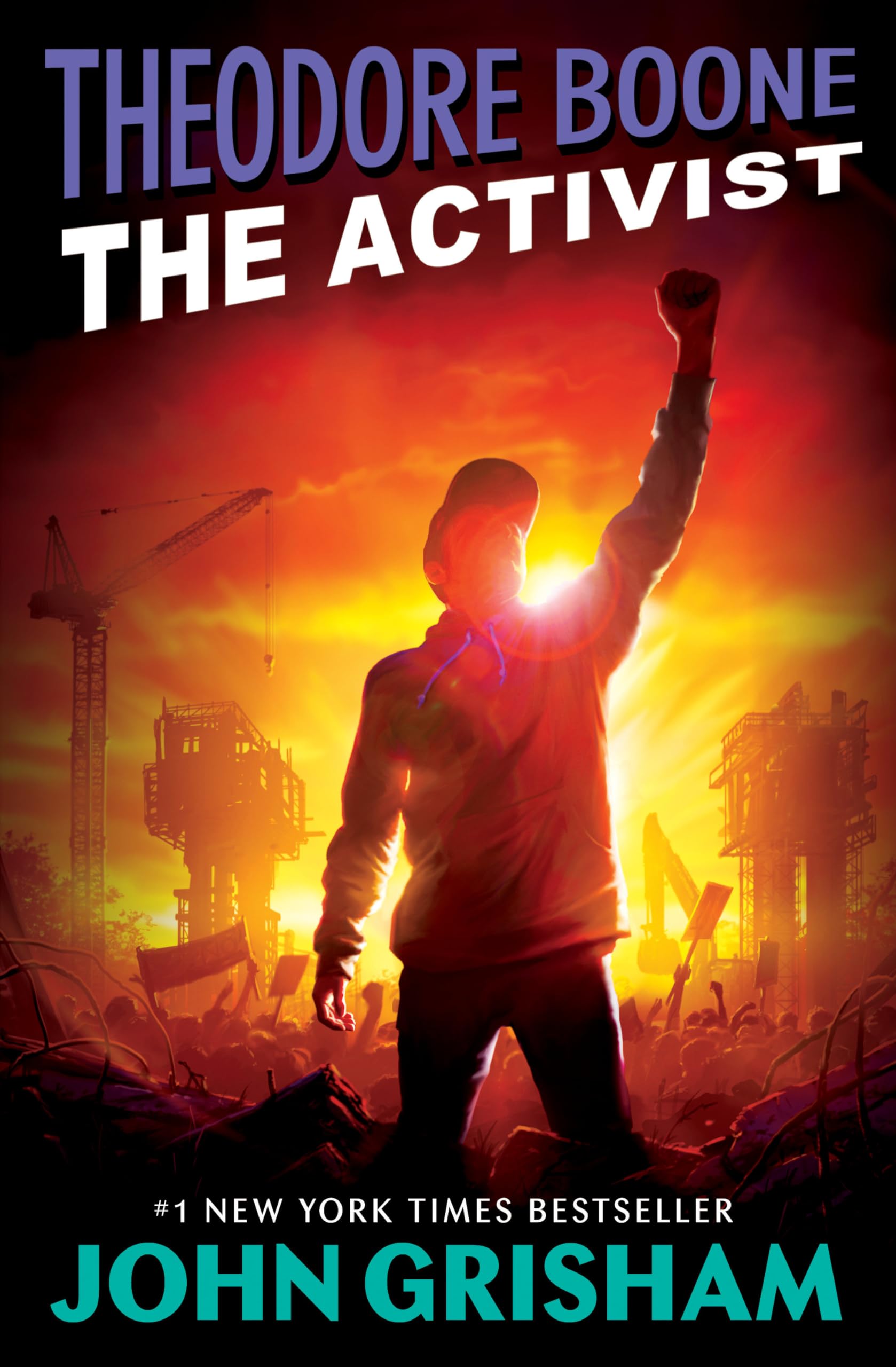 Theodore Boone: The Activist,New
