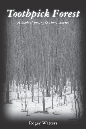 Toothpick Forest,Used