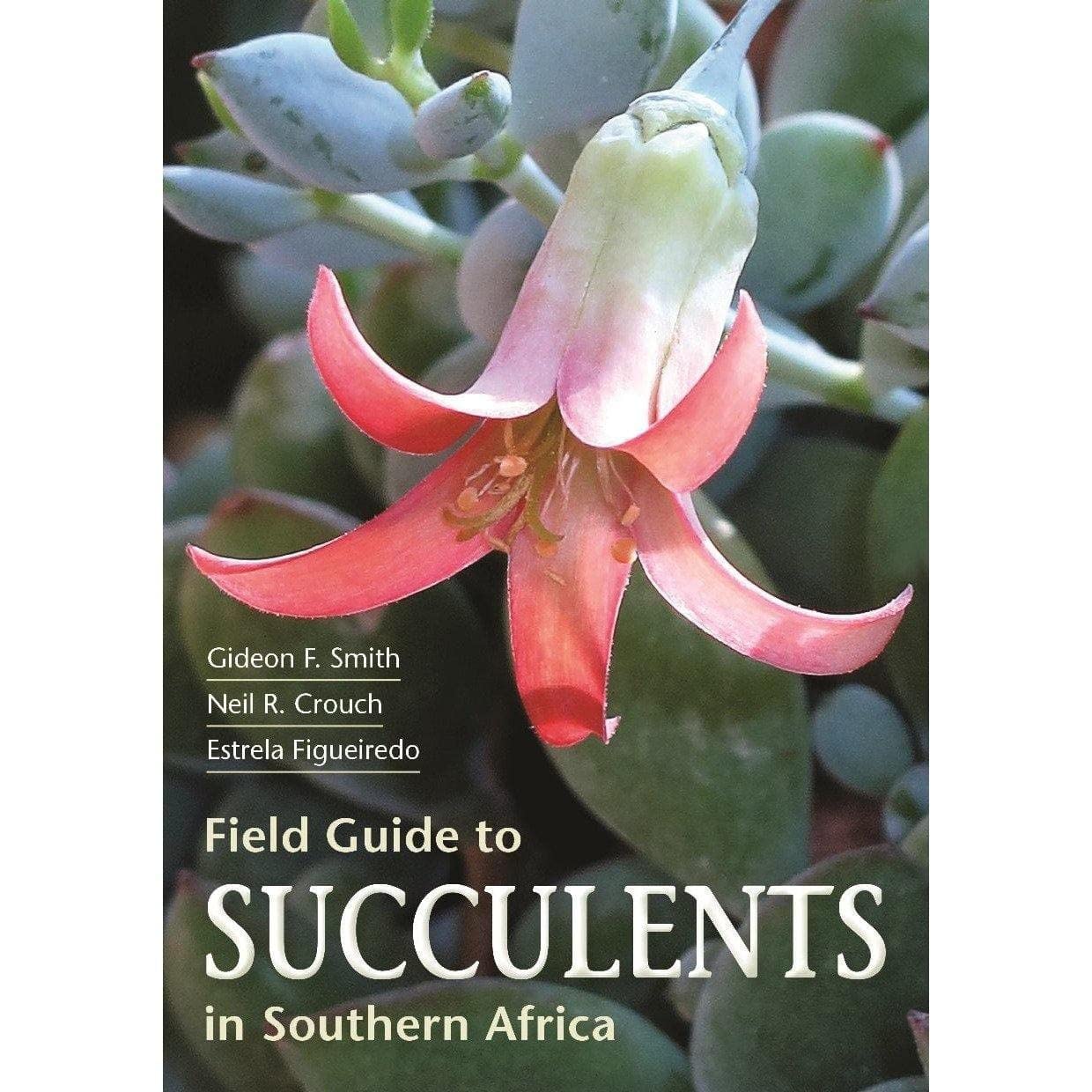 Field Guide to Succulents in Southern Africa (Field Guides),Used