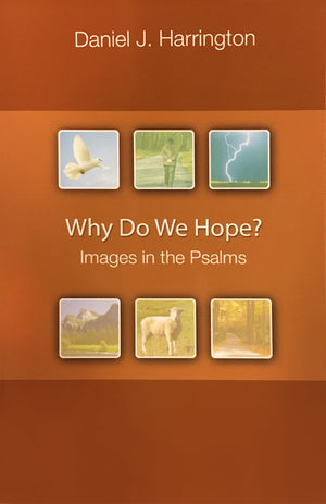 Why Do We Hope?: Images In The Psalms,Used