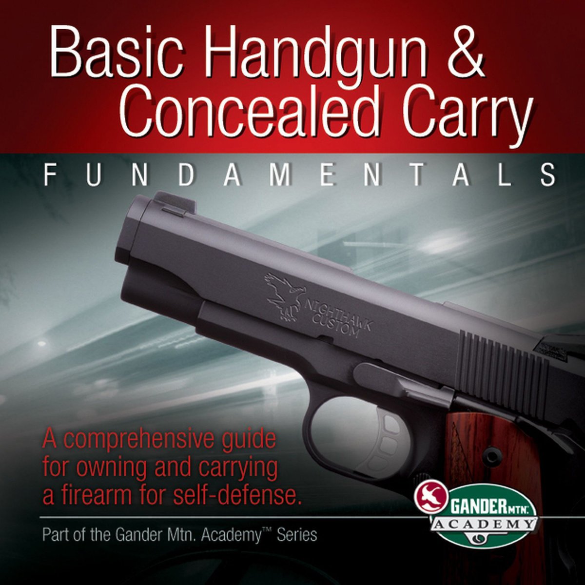 Basic Handgun & Concealed Carry Fundamentals: A Comprehensive Guide for Owning and Carrying a Firearm for SelfDefense,Used