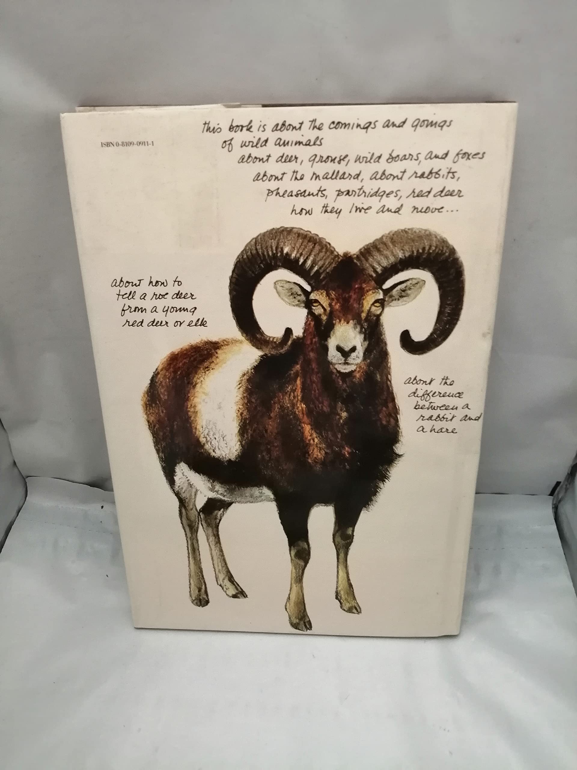 The Living Forest: A World of Animals,Used