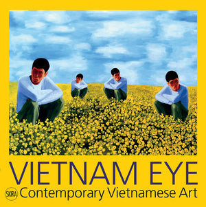 Vietnam Eye: Contemporary Vietnamese Art,Used