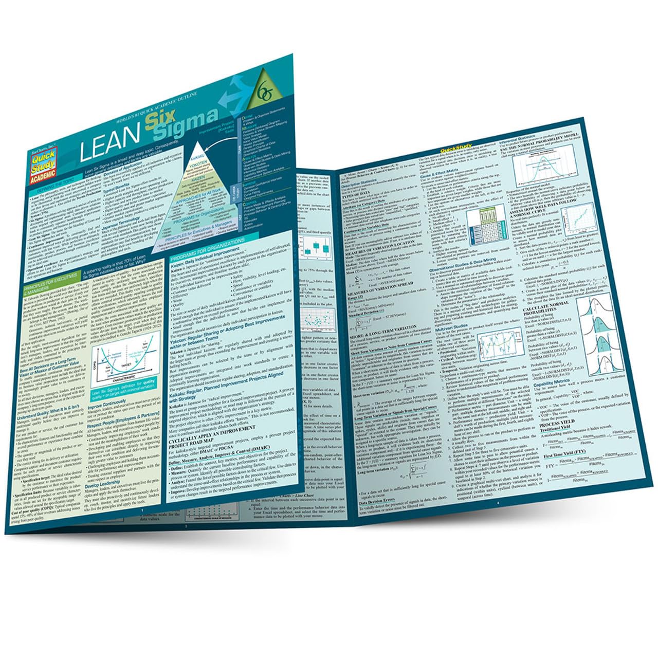 Lean Six Sigma QuickStudy Laminated Reference Guide (QuickStudy Business),Used