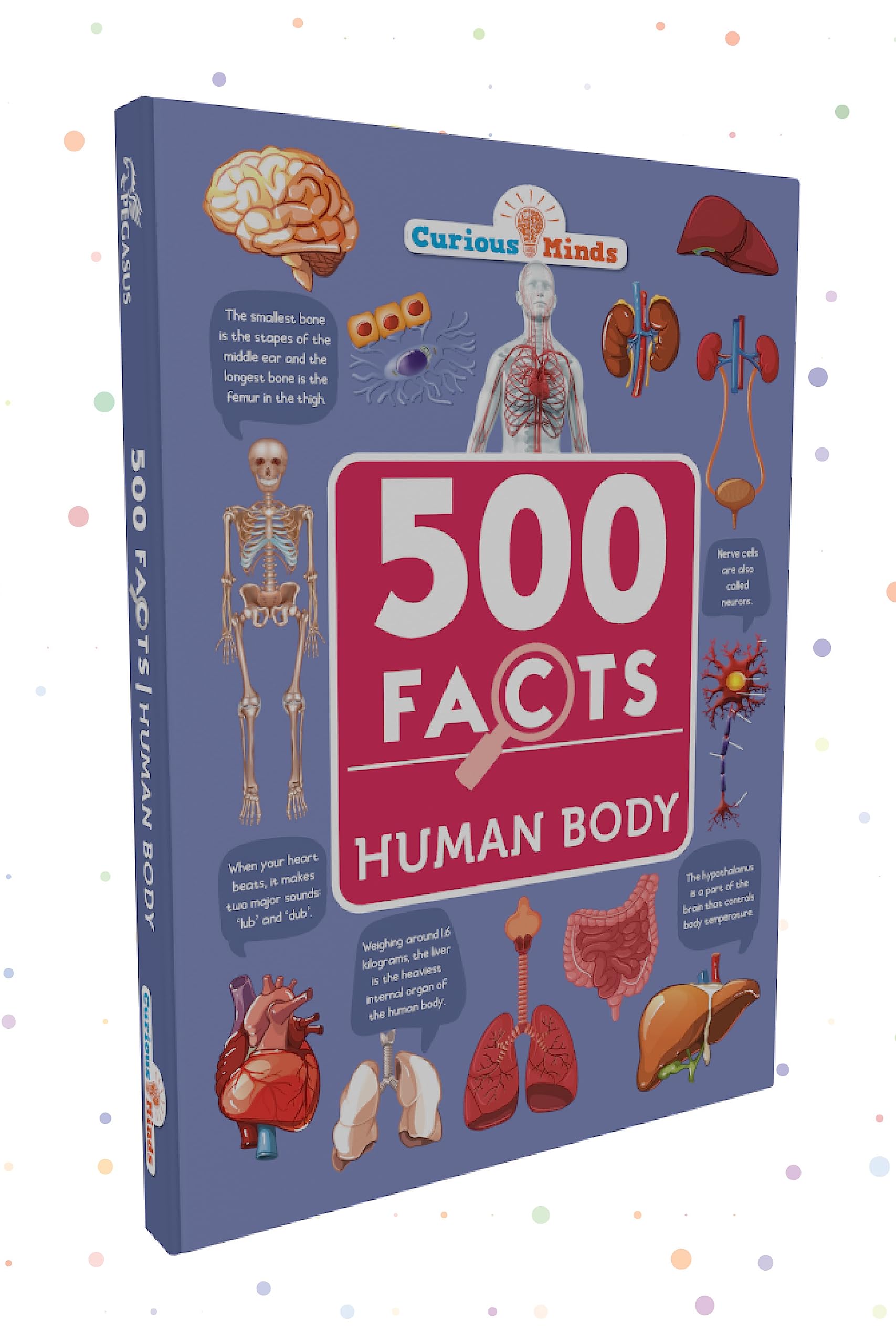 500 Incredible Facts About The Human Body: A Fascinating Journey For Curious Kids