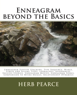 Enneagram Beyond The Basics,Used