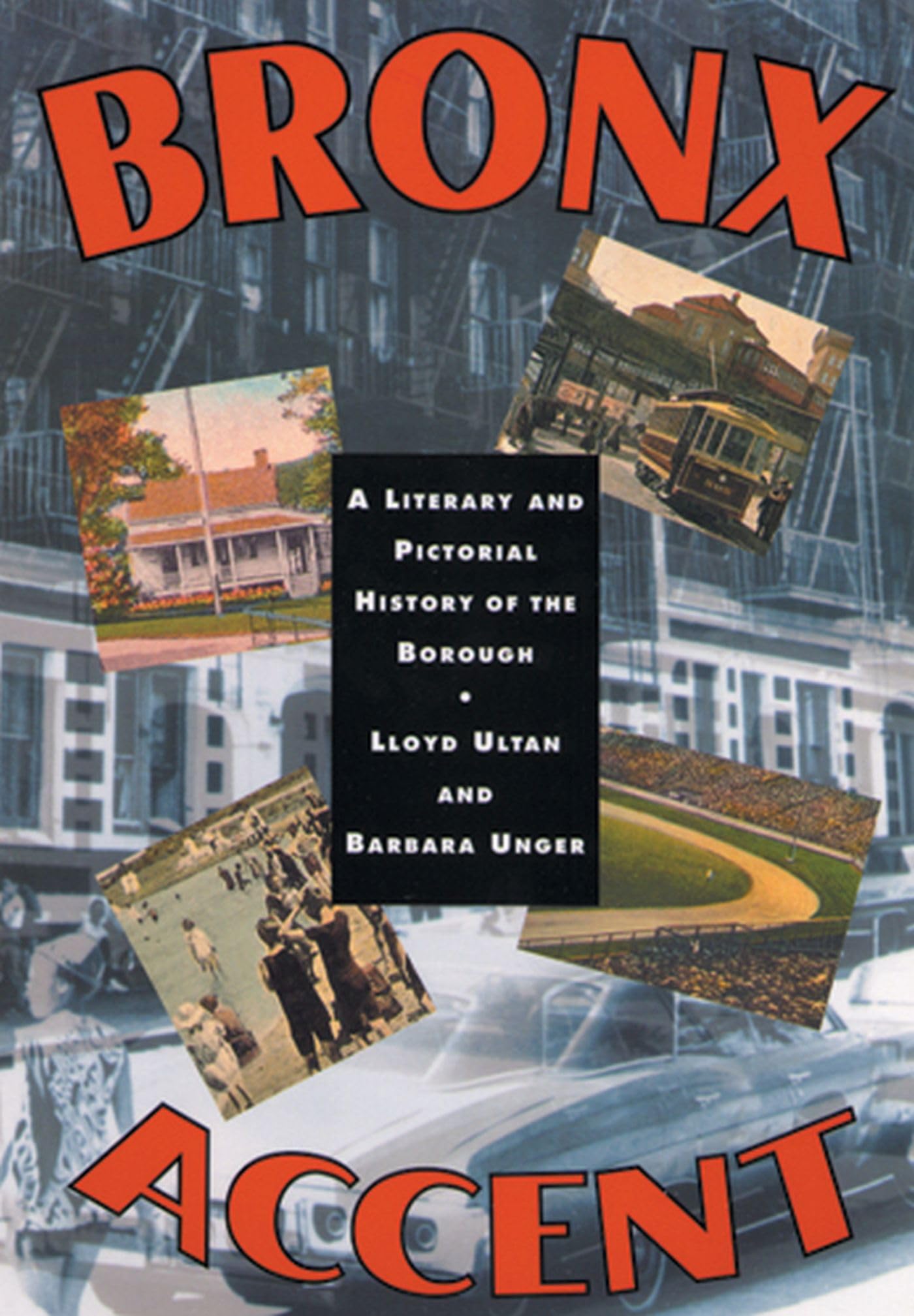 Bronx Accent: A Literary And Pictorial History Of The Borough,Used