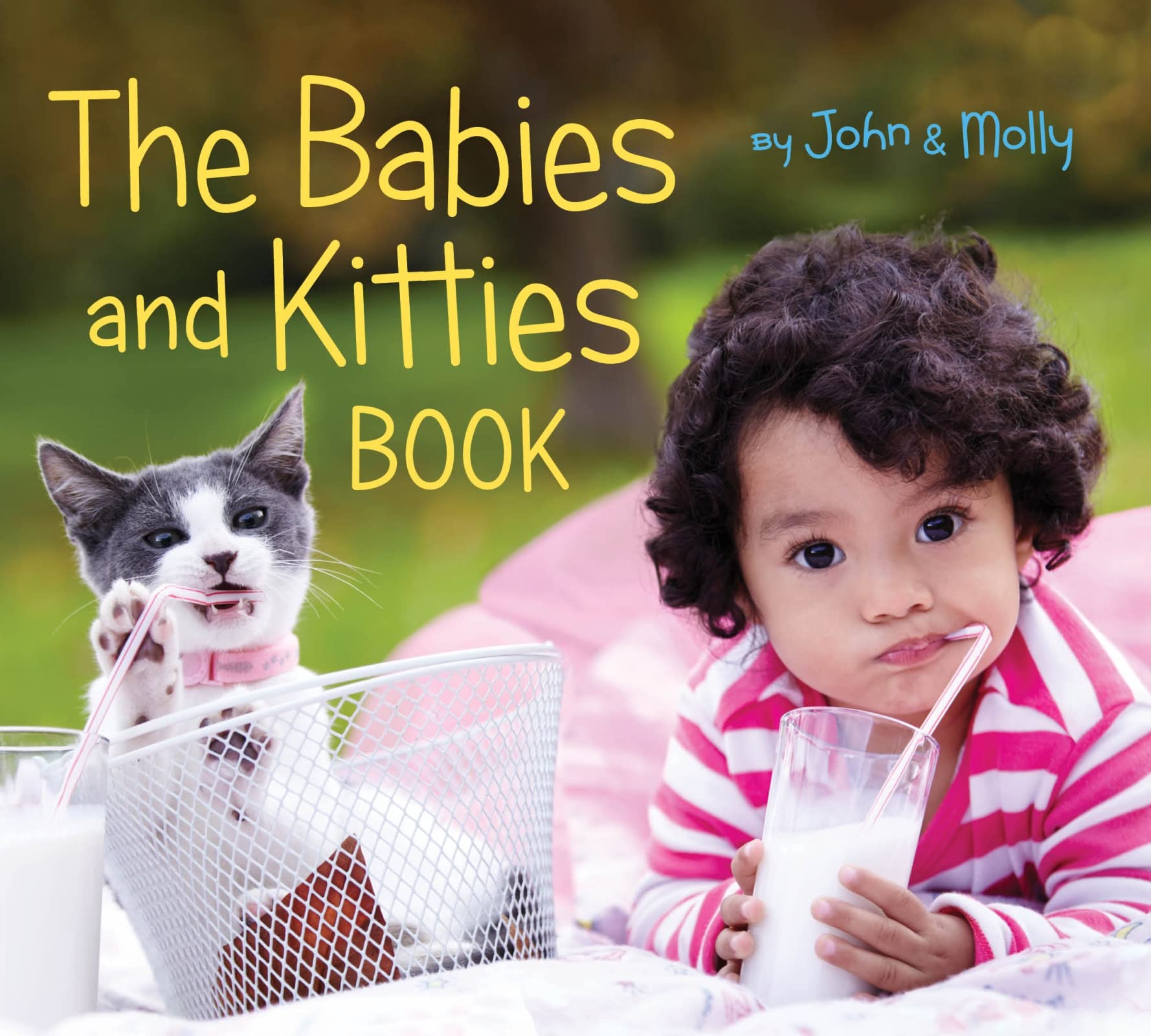 The Babies and Kitties Book,Used