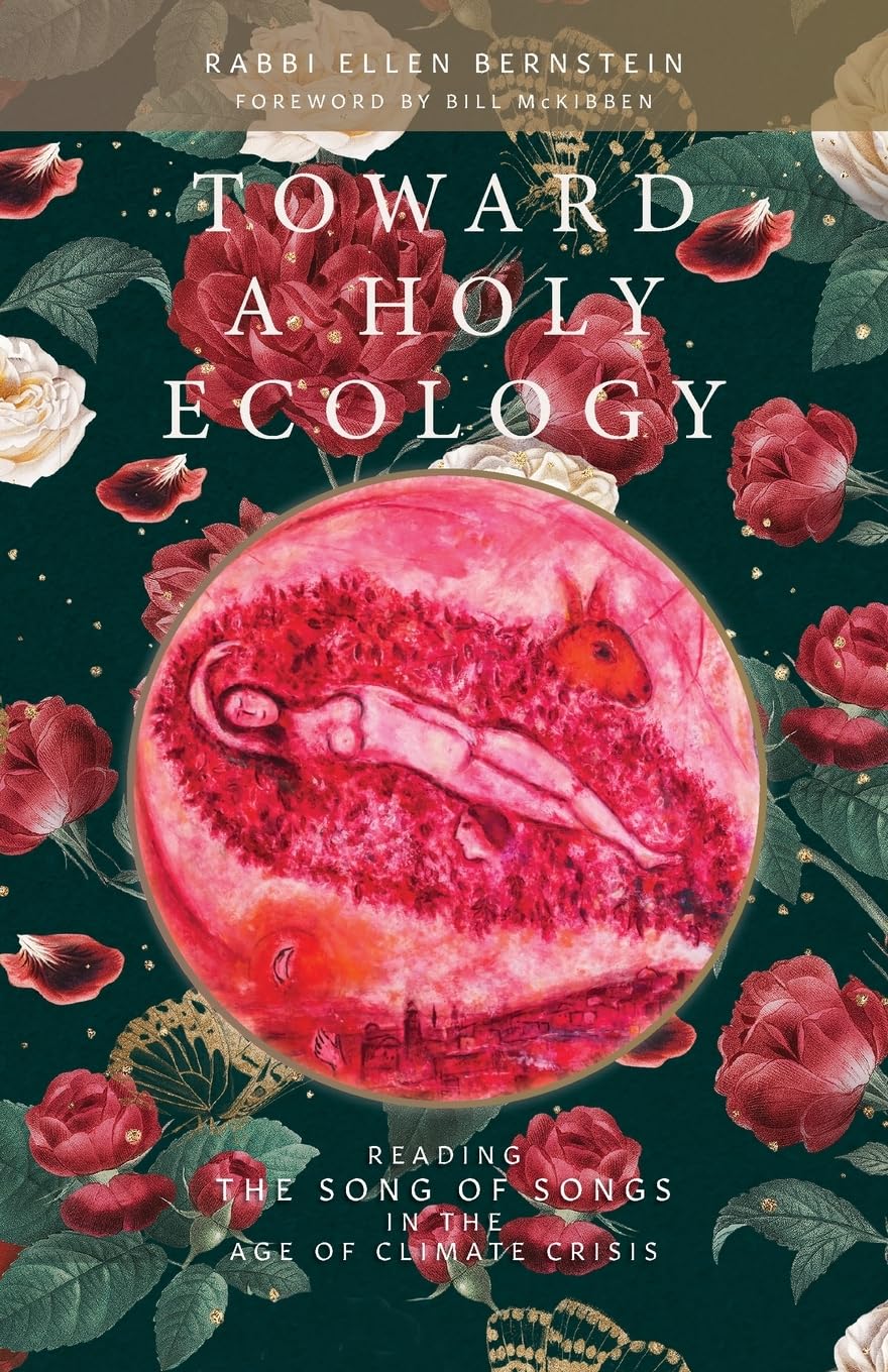 Toward A Holy Ecology: Reading The Song Of Songs In The Age Of Climate Crisis,Used