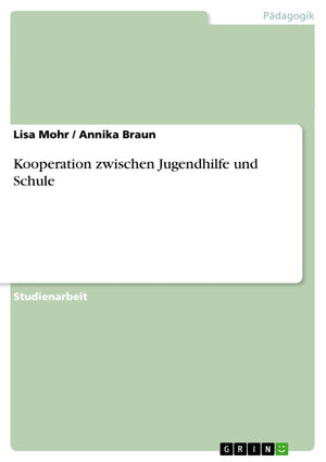 Kooperation Zwischen Jugendhilfe Und Schule (German Edition),Used