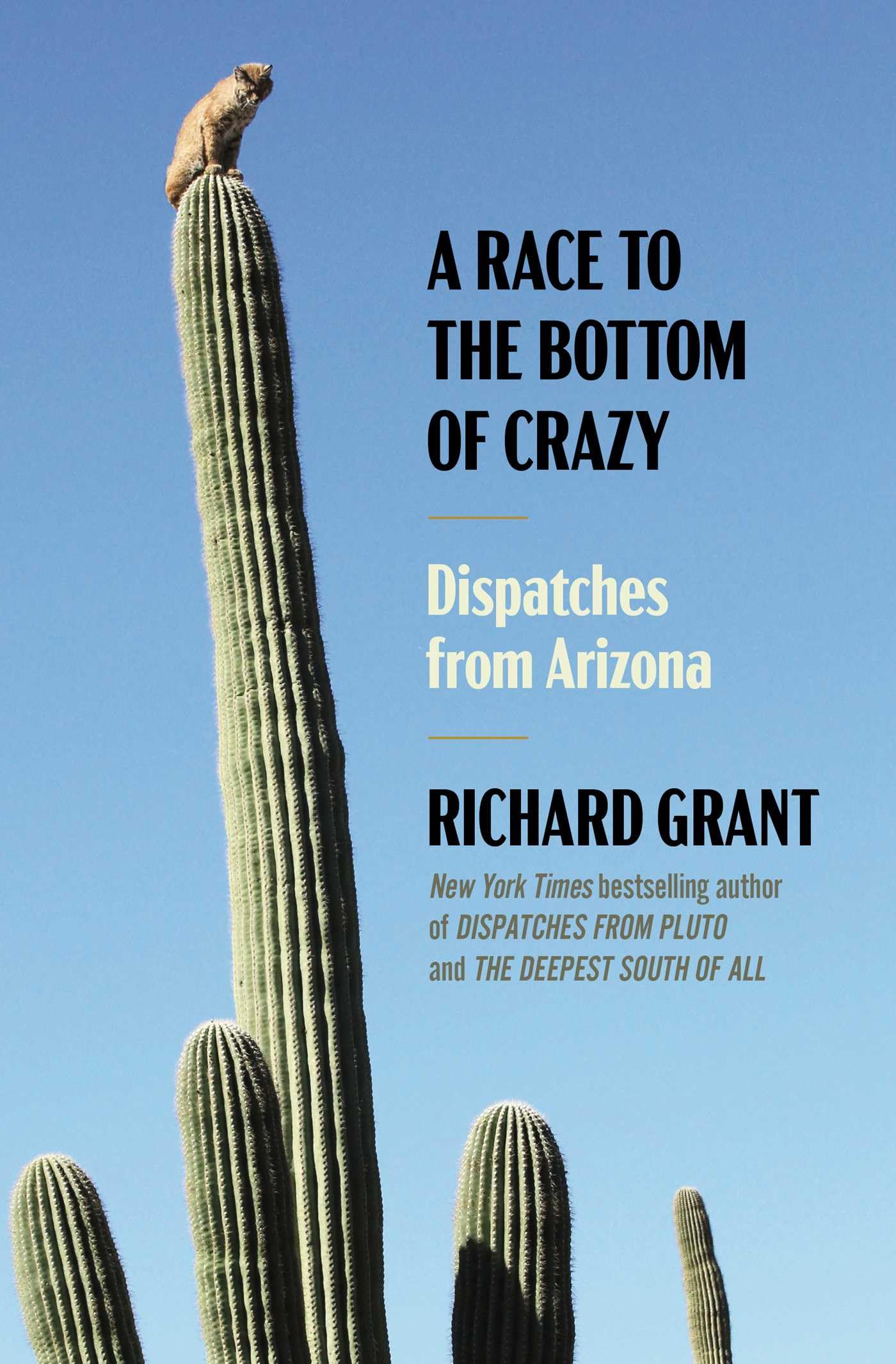 A Race to the Bottom of Crazy: Dispatches from Arizona,New