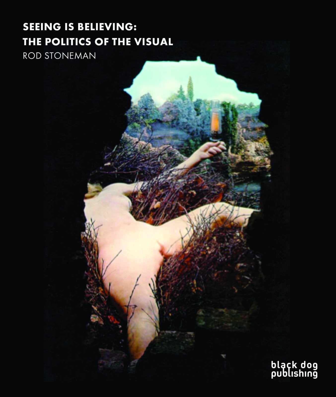 Seeing Is Believing: The Politics Of The Visual,Used