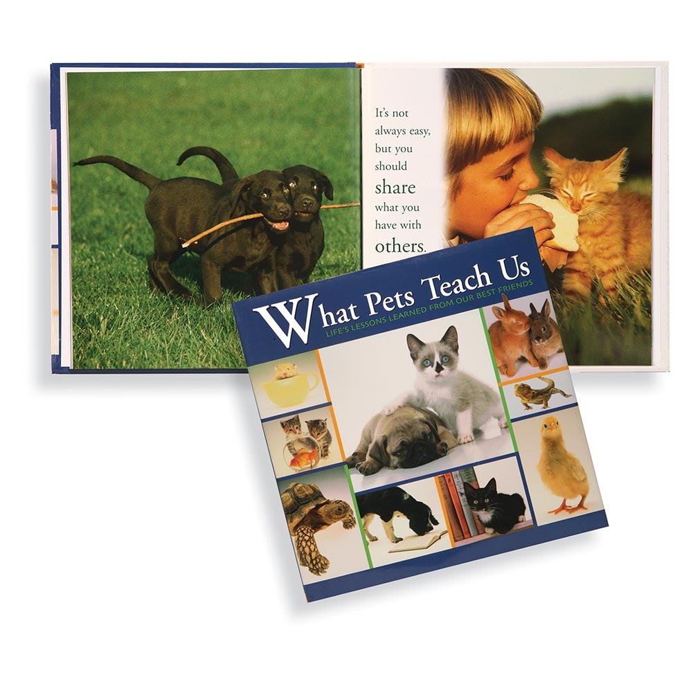 What Pets Teach Us: Life's Lesson Learned from Our Little Friends,New