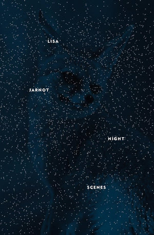 Night Scenes (Flood Editions),New