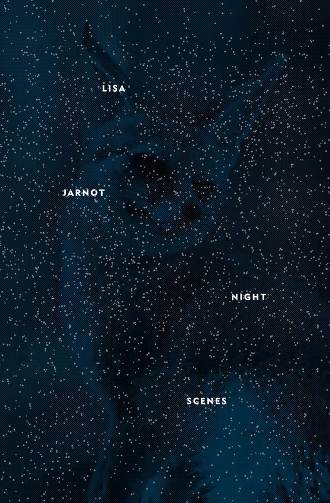 Night Scenes (Flood Editions),New
