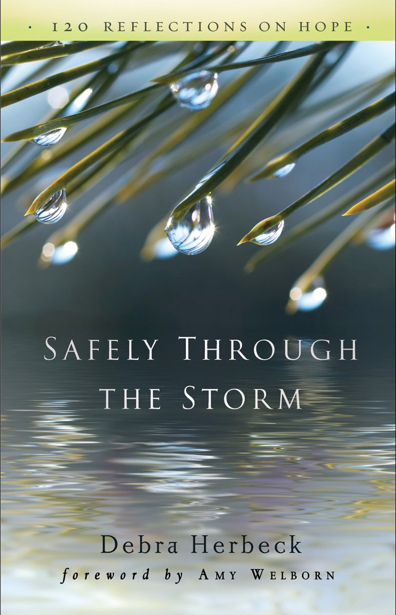 Safely Through The Storm: 120 Reflections On Hope,Used