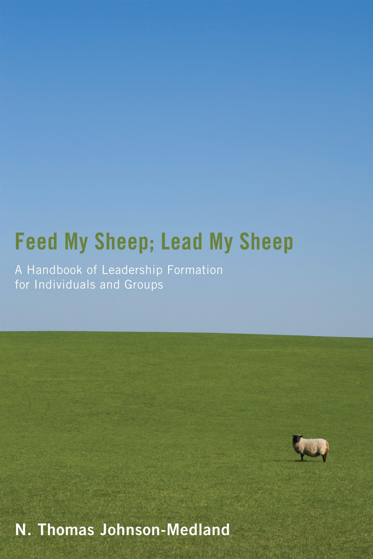 Feed My Sheep; Lead My Sheep: A Handbook Of Leadership Formation For Individuals And Groups,Used