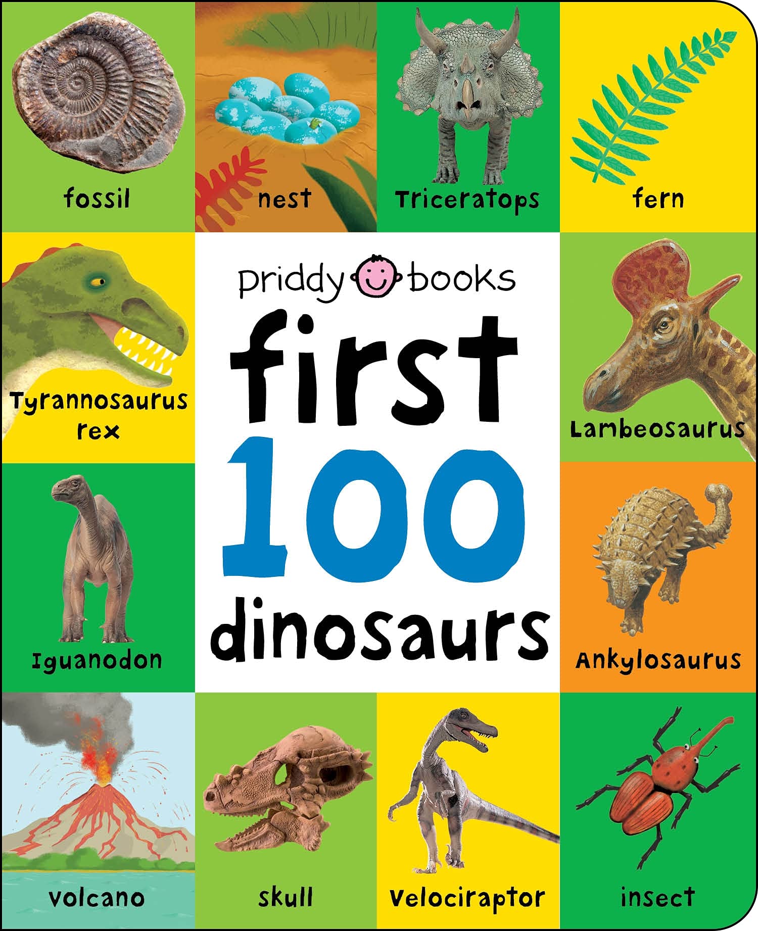 First 100: First 100 Dinosaurs,New