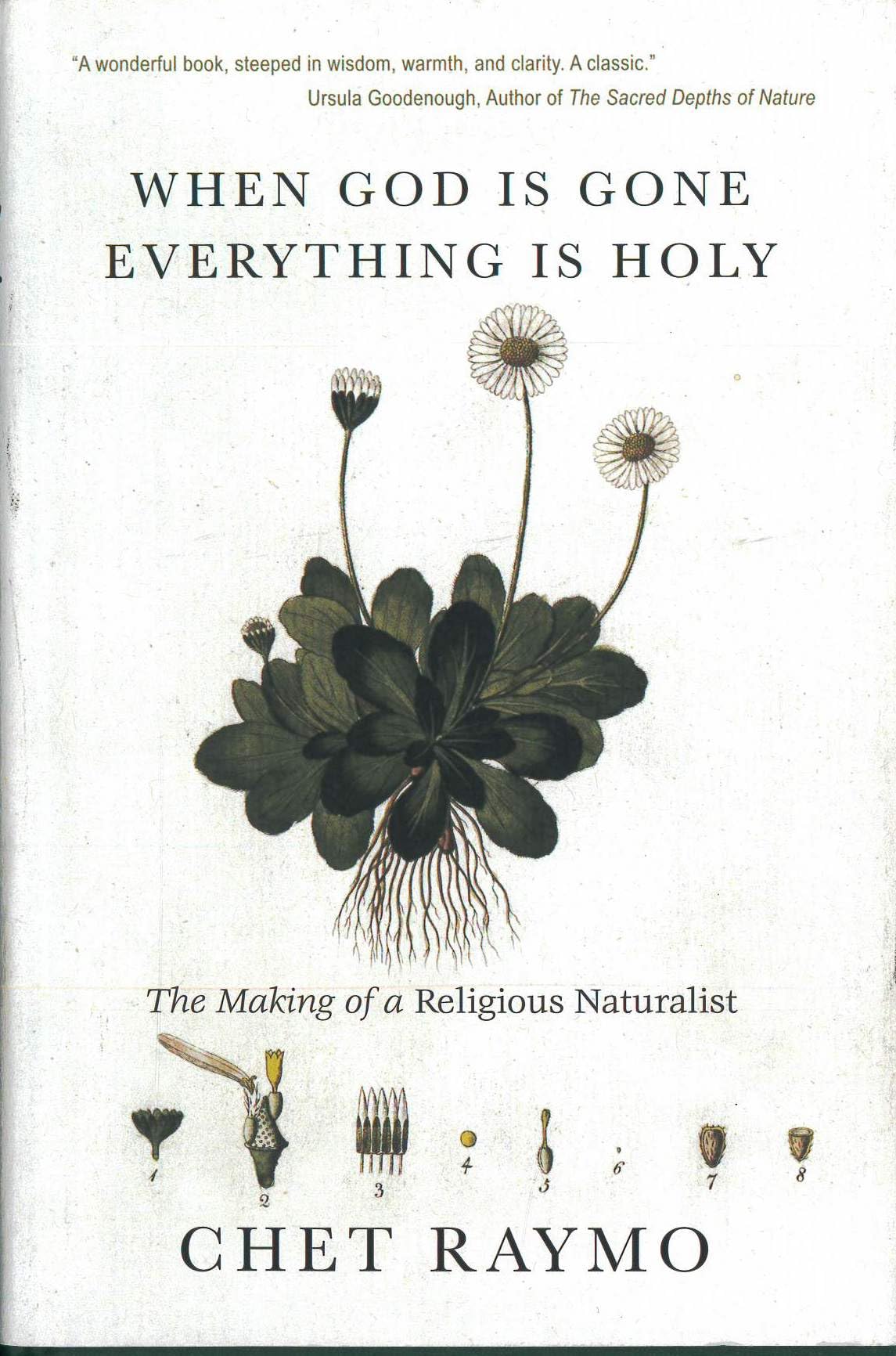 When God Is Gone, Everything Is Holy: The Making of a Religious Naturalist,New