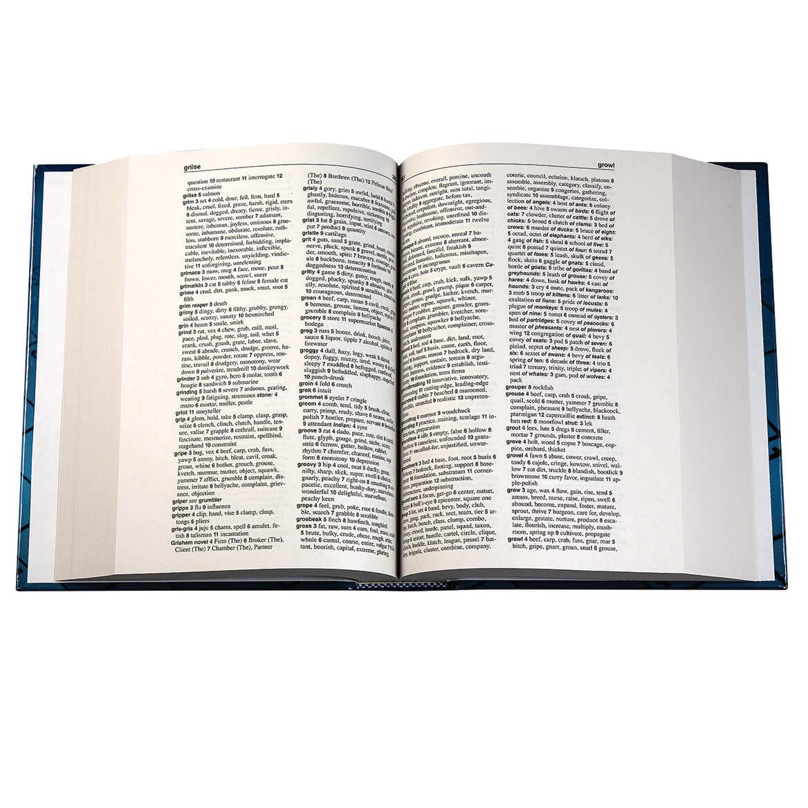 Webster's New Explorer Crossword Puzzle Dictionary,Used