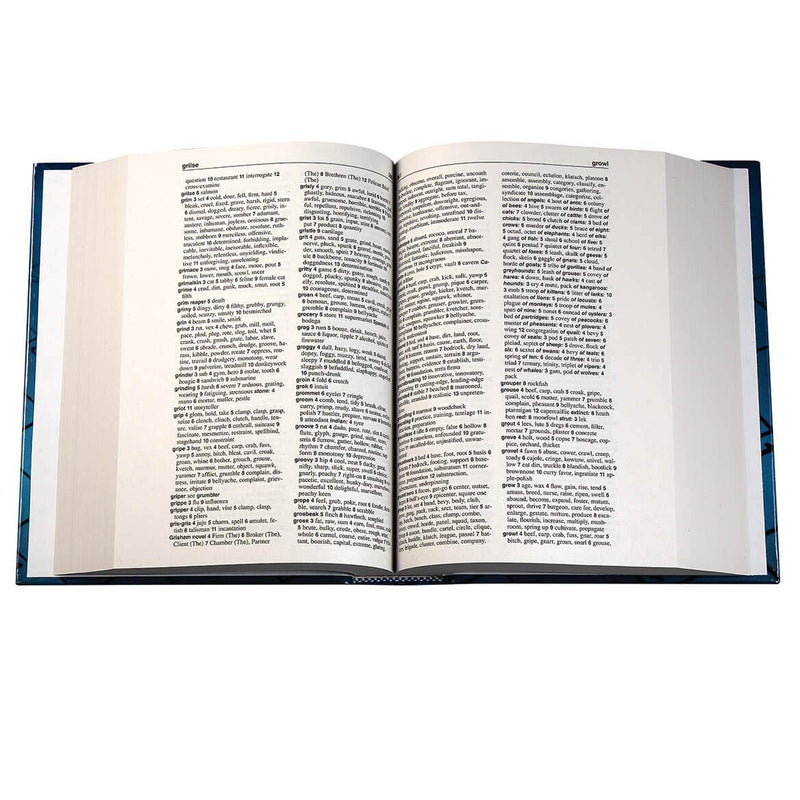 Webster's New Explorer Crossword Puzzle Dictionary,Used