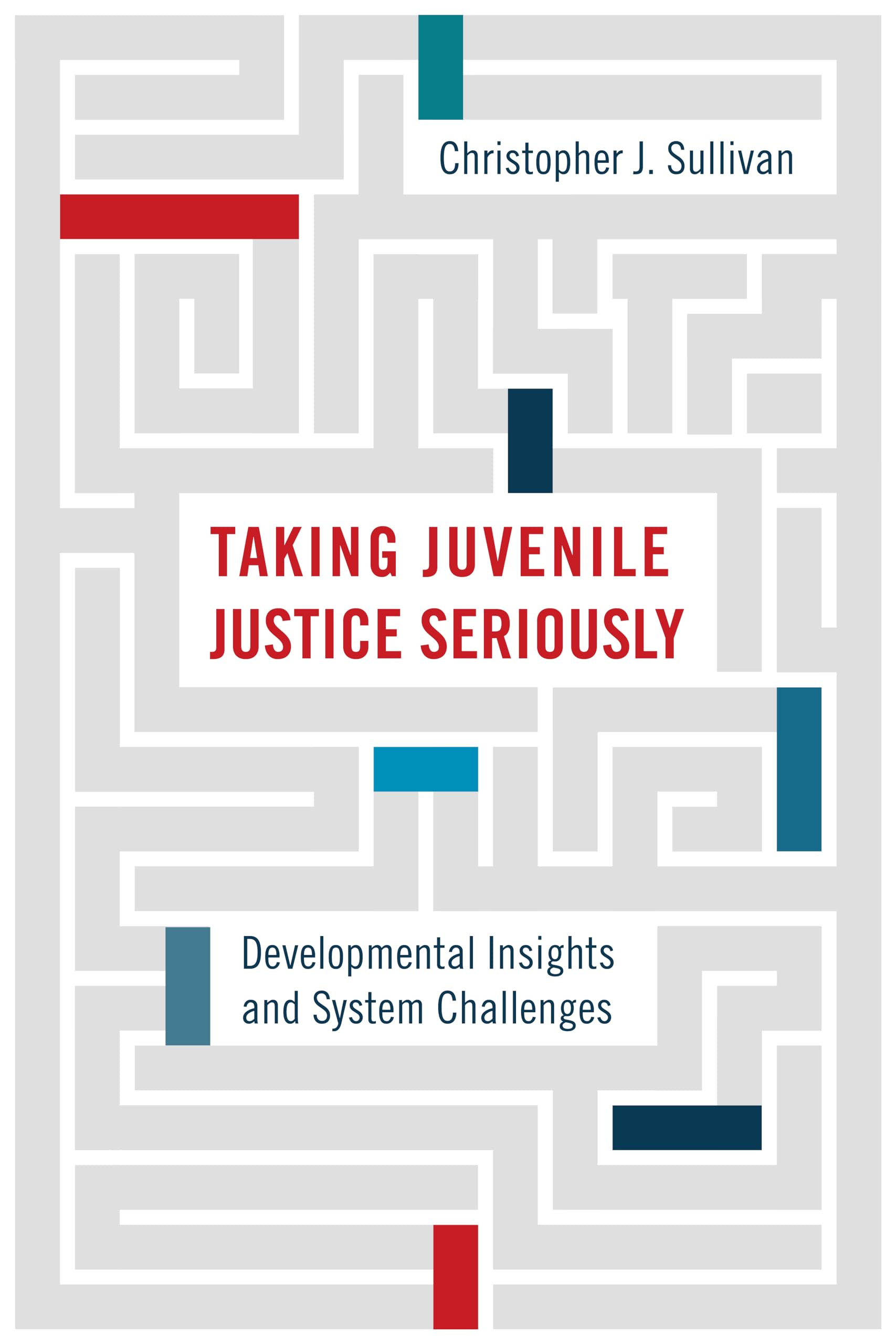 Taking Juvenile Justice Seriously: Developmental Insights and System Challenges,Used