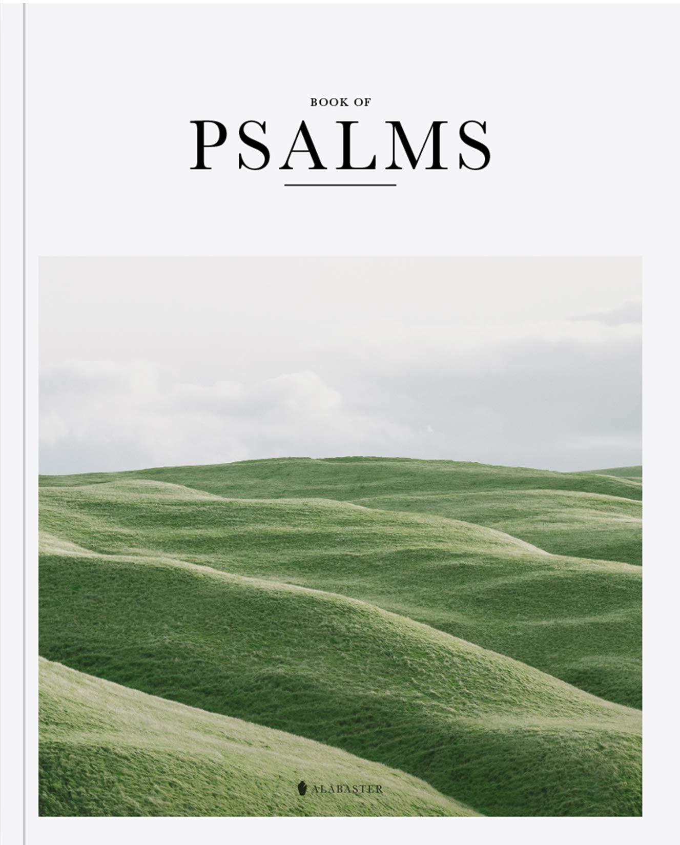 Book of Psalms  Alabaster Bible (NLT),Used