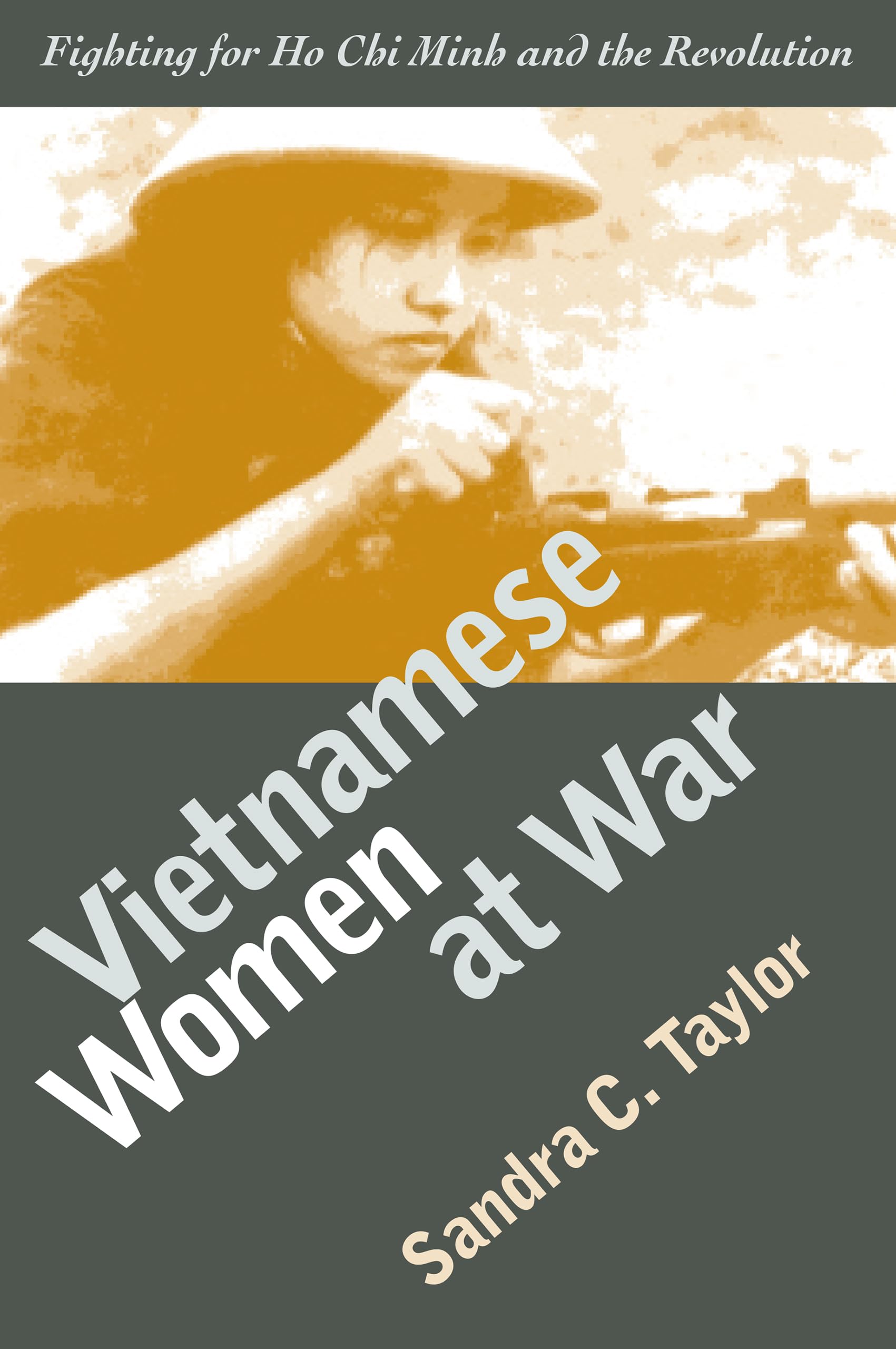 Vietnamese Women At War: Fighting For Ho Chi Minh And The Revolution (Modern War Studies)