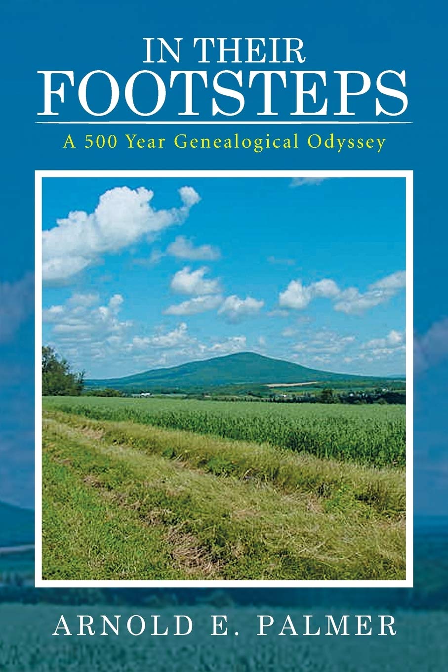 In Their Footsteps: A 500 Year Genealogical Odyssey,Used