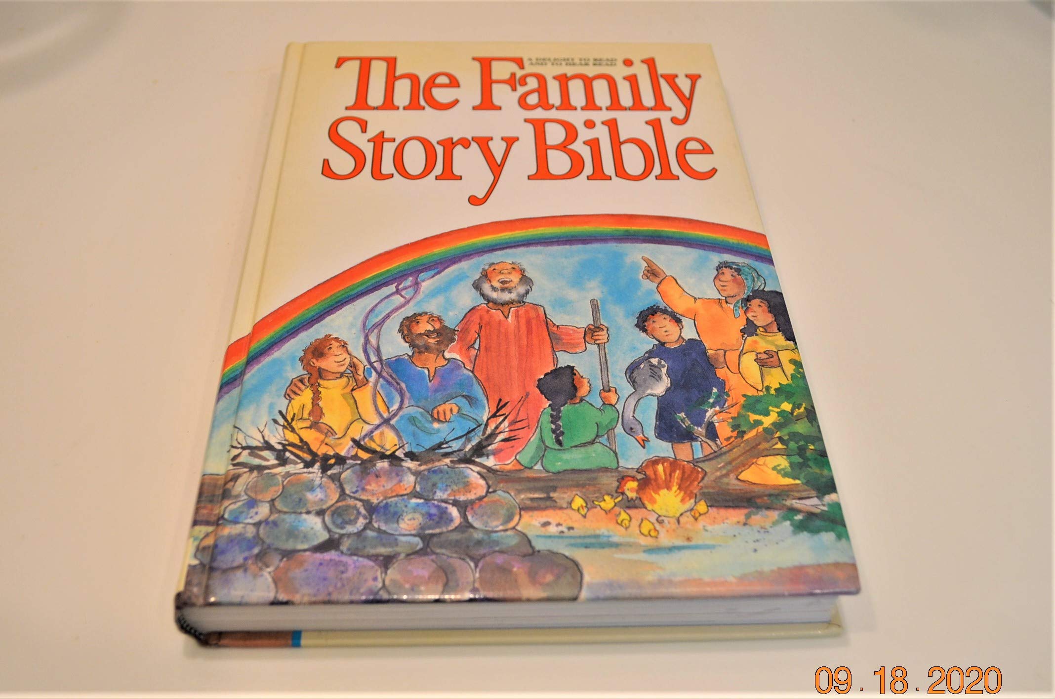 The Family Story Bible,Used
