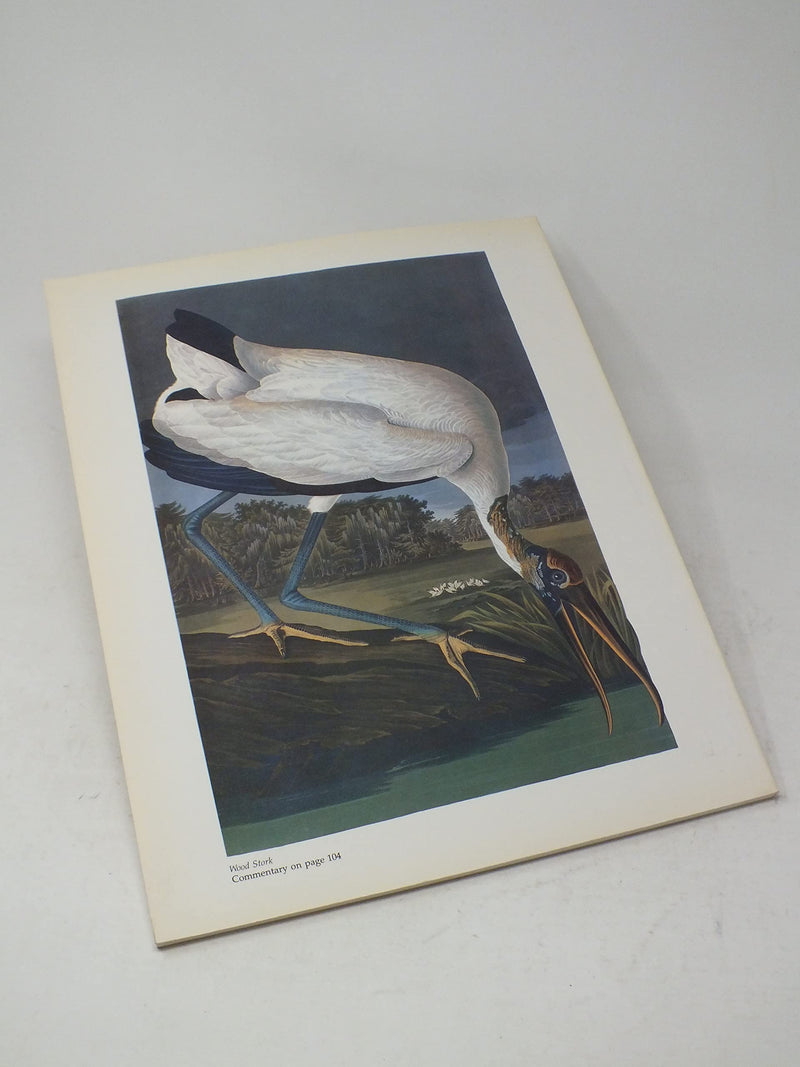 50 Audubon Birds Of America: From The Original Double Elephant Folio,Used
