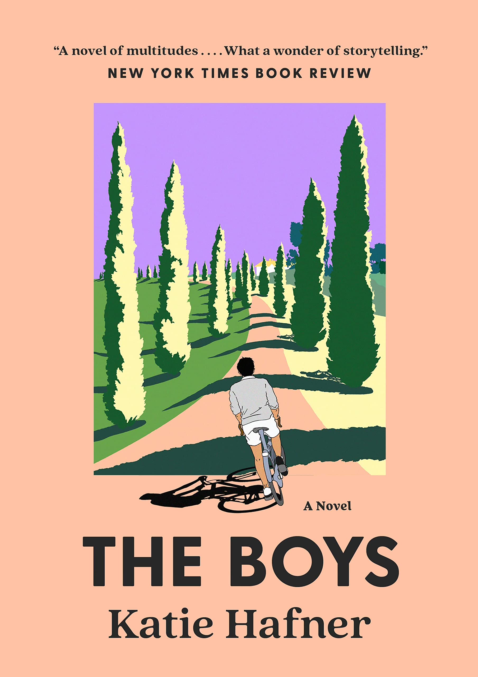 The Boys: A Novel,Used