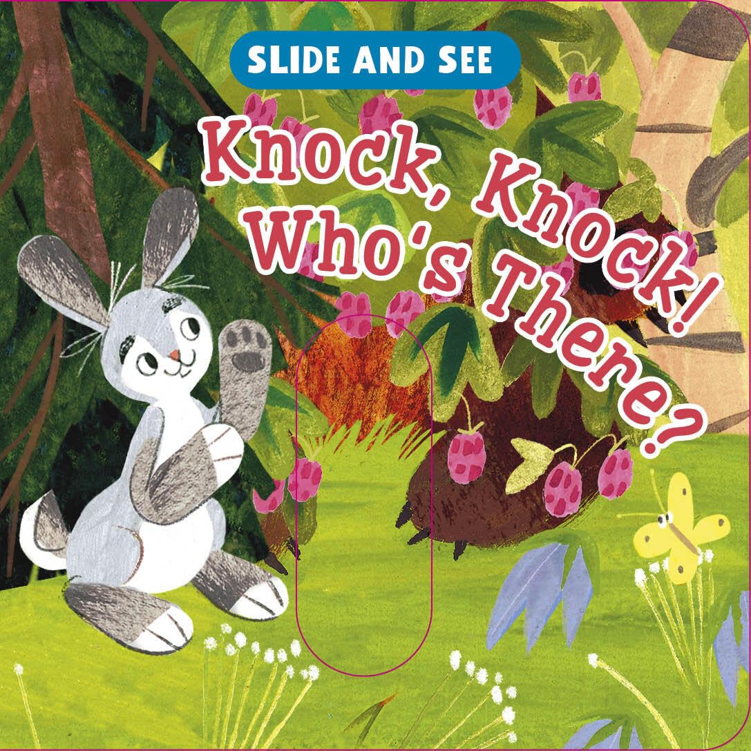 Slide And See: Knock, Knock! WhoS There?